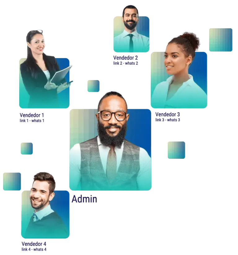 categorize catálogo whatsapp